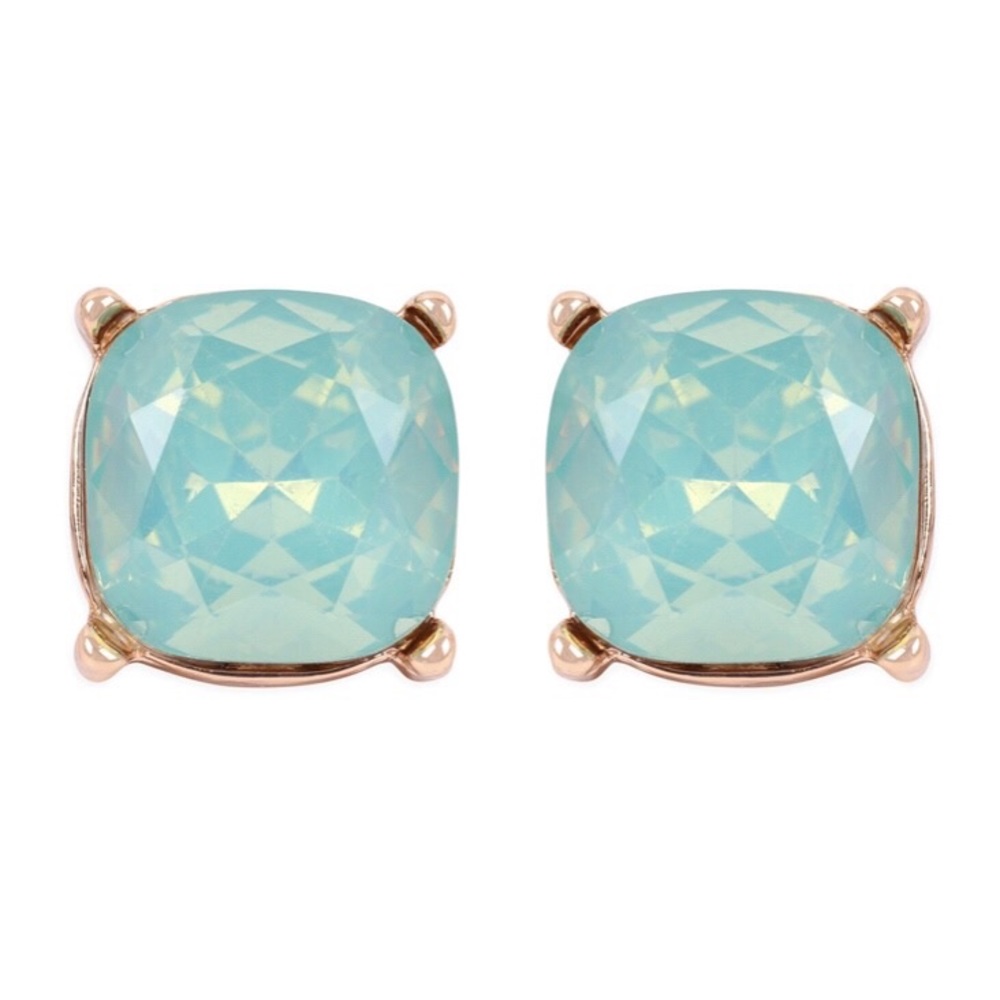 Just in - super cute Opal inspired Earposts
